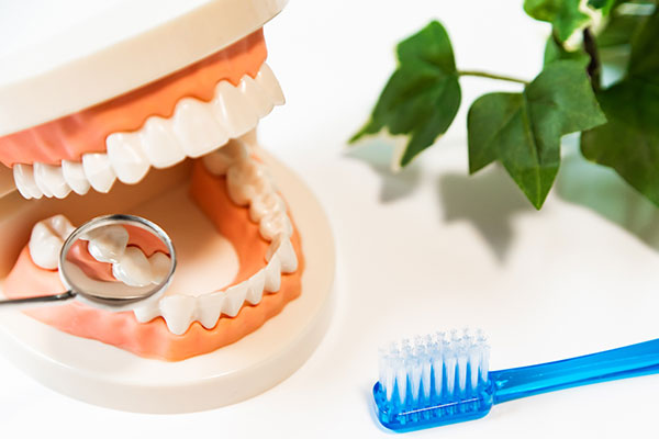 予防歯科の目的
